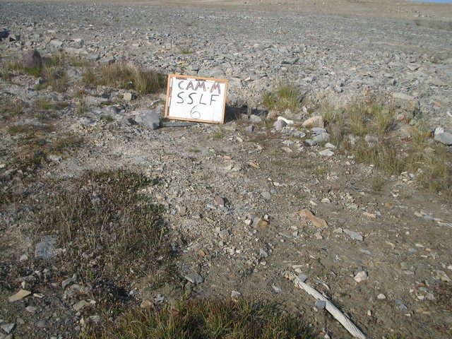 Thumb for 19 aug 05 sslf6 debris.jpg (3786 KB)